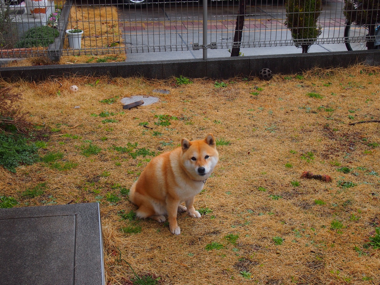 _跑步社交APP:科技助力全民健身_,跑步交流app