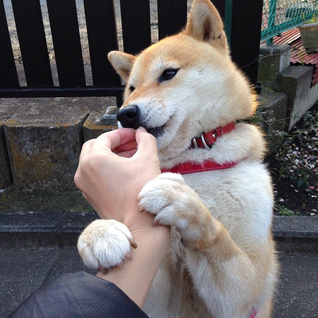 九游娱乐APP-“全球极限：五洲最艰难赛段大汇总”