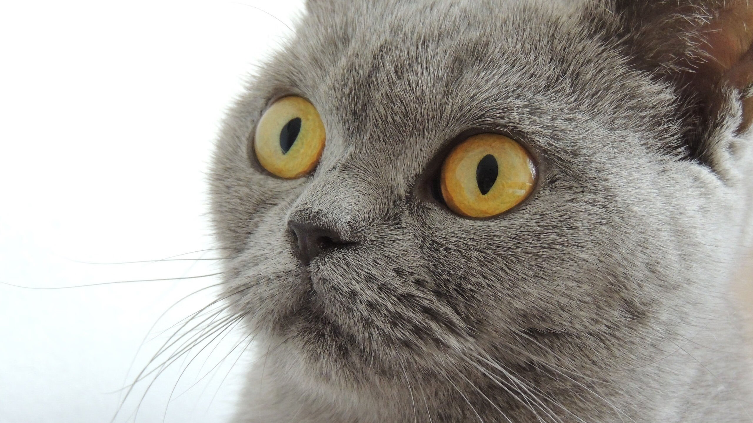 九游sports-“爆发式全场攻势，比分不断刷新纪录，比赛精彩绝伦”，爆发力爆棚